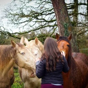 Images de profil de Noélyne - Blooming Pets - Petsitting et garde d'animaux à domicile