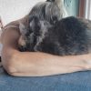 Images de profil de Nolwenn - Blooming Pets - Petsitting et garde d'animaux à domicile