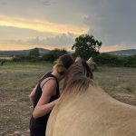 Like me Mon Cheval  Poney Français de Selle Femelle - Garde d'animaux à domicile