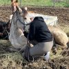 Images de profil de océane - Blooming Pets - Petsitting et garde d'animaux à domicile