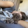 Images de profil de océane - Blooming Pets - Petsitting et garde d'animaux à domicile