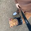 Images de profil de Oceane - Blooming Pets - Petsitting et garde d'animaux à domicile