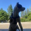 Images de profil de Oceane - Blooming Pets - Petsitting et garde d'animaux à domicile