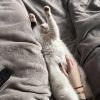 Images de profil de Océane - Blooming Pets - Petsitting et garde d'animaux à domicile