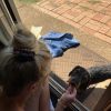 Images de profil de Océane - Blooming Pets - Petsitting et garde d'animaux à domicile