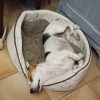 Images de profil de Olivia - Blooming Pets - Petsitting et garde d'animaux à domicile