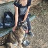 Images de profil de Olivia - Blooming Pets - Petsitting et garde d'animaux à domicile