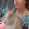 Images de profil de Ornella - Blooming Pets - Petsitting et garde d'animaux à domicile