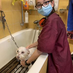 Images de profil de Paola - Blooming Pets - Petsitting et garde d'animaux à domicile