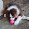 Images de profil de Pascale - Blooming Pets - Petsitting et garde d'animaux à domicile