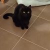 Images de profil de Pascale - Blooming Pets - Petsitting et garde d'animaux à domicile