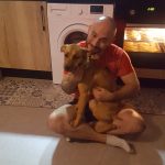 Tika Mon Chien  Berger Islandais Femelle - Garde d'animaux à domicile