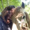 Images de profil de Rianne - Blooming Pets - Petsitting et garde d'animaux à domicile