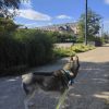 Images de profil de Perrine - Blooming Pets - Petsitting et garde d'animaux à domicile