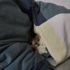 Images de profil de Perrine - Blooming Pets - Petsitting et garde d'animaux à domicile