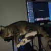Images de profil de Perrine - Blooming Pets - Petsitting et garde d'animaux à domicile