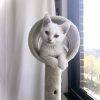Images de profil de Perrine - Blooming Pets - Petsitting et garde d'animaux à domicile