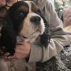 Images de profil de Emilie - Blooming Pets - Petsitting et garde d'animaux à domicile
