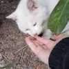 Images de profil de laurence - Blooming Pets - Petsitting et garde d'animaux à domicile