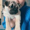 Images de profil de Marine - Blooming Pets - Petsitting et garde d'animaux à domicile