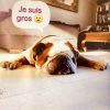 Images de profil de Isabelle - Blooming Pets - Petsitting et garde d'animaux à domicile