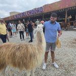 Image de profil de Paul - Blooming Pets - Petsitting et garde d'animaux à domicile