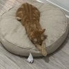 Images de profil de Prisca - Blooming Pets - Petsitting et garde d'animaux à domicile