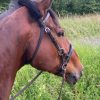 Images de profil de Prisca - Blooming Pets - Petsitting et garde d'animaux à domicile