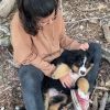 Images de profil de Rachel - Blooming Pets - Petsitting et garde d'animaux à domicile