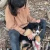 Images de profil de Rachel - Blooming Pets - Petsitting et garde d'animaux à domicile