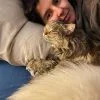 Images de profil de Rachel - Blooming Pets - Petsitting et garde d'animaux à domicile
