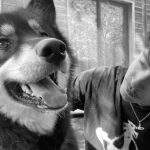 Image de profil de Raphaël - Blooming Pets - Petsitting et garde d'animaux à domicile