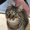 Images de profil de Régine - Blooming Pets - Petsitting et garde d'animaux à domicile