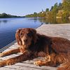 Images de profil de Marie - Blooming Pets - Petsitting et garde d'animaux à domicile