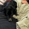 Images de profil de Romane - Blooming Pets - Petsitting et garde d'animaux à domicile