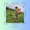 Images de profil de Priska - Blooming Pets - Petsitting et garde d'animaux à domicile