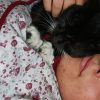 Images de profil de Adèle - Blooming Pets - Petsitting et garde d'animaux à domicile