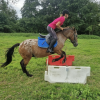 Images de profil de Salomé - Blooming Pets - Petsitting et garde d'animaux à domicile