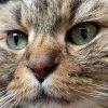 Images de profil de Salomé - Blooming Pets - Petsitting et garde d'animaux à domicile