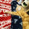 Images de profil de Samantha - Blooming Pets - Petsitting et garde d'animaux à domicile