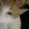 Images de profil de Samia - Blooming Pets - Petsitting et garde d'animaux à domicile