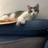 Images de profil de Samia - Blooming Pets - Petsitting et garde d'animaux à domicile