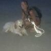 Images de profil de Sandrine - Blooming Pets - Petsitting et garde d'animaux à domicile