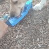 Images de profil de Sandrine - Blooming Pets - Petsitting et garde d'animaux à domicile