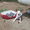 Images de profil de Sandrine - Blooming Pets - Petsitting et garde d'animaux à domicile