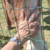 Images de profil de Sandrine - Blooming Pets - Petsitting et garde d'animaux à domicile