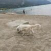 Images de profil de Sandra - Blooming Pets - Petsitting et garde d'animaux à domicile