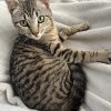 Images de profil de Sandrine - Blooming Pets - Petsitting et garde d'animaux à domicile