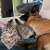 Images de profil de Sarah - Blooming Pets - Petsitting et garde d'animaux à domicile