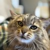 Images de profil de Sarah - Blooming Pets - Petsitting et garde d'animaux à domicile